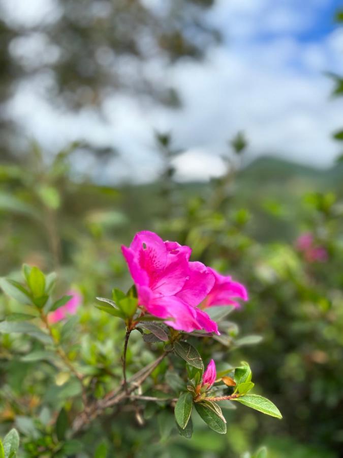 Casa De Campo Vizinha Da Lua مونتي فيردي المظهر الخارجي الصورة