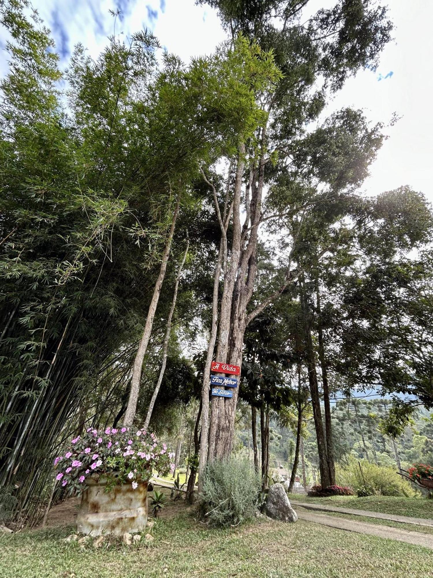 Casa De Campo Vizinha Da Lua مونتي فيردي المظهر الخارجي الصورة