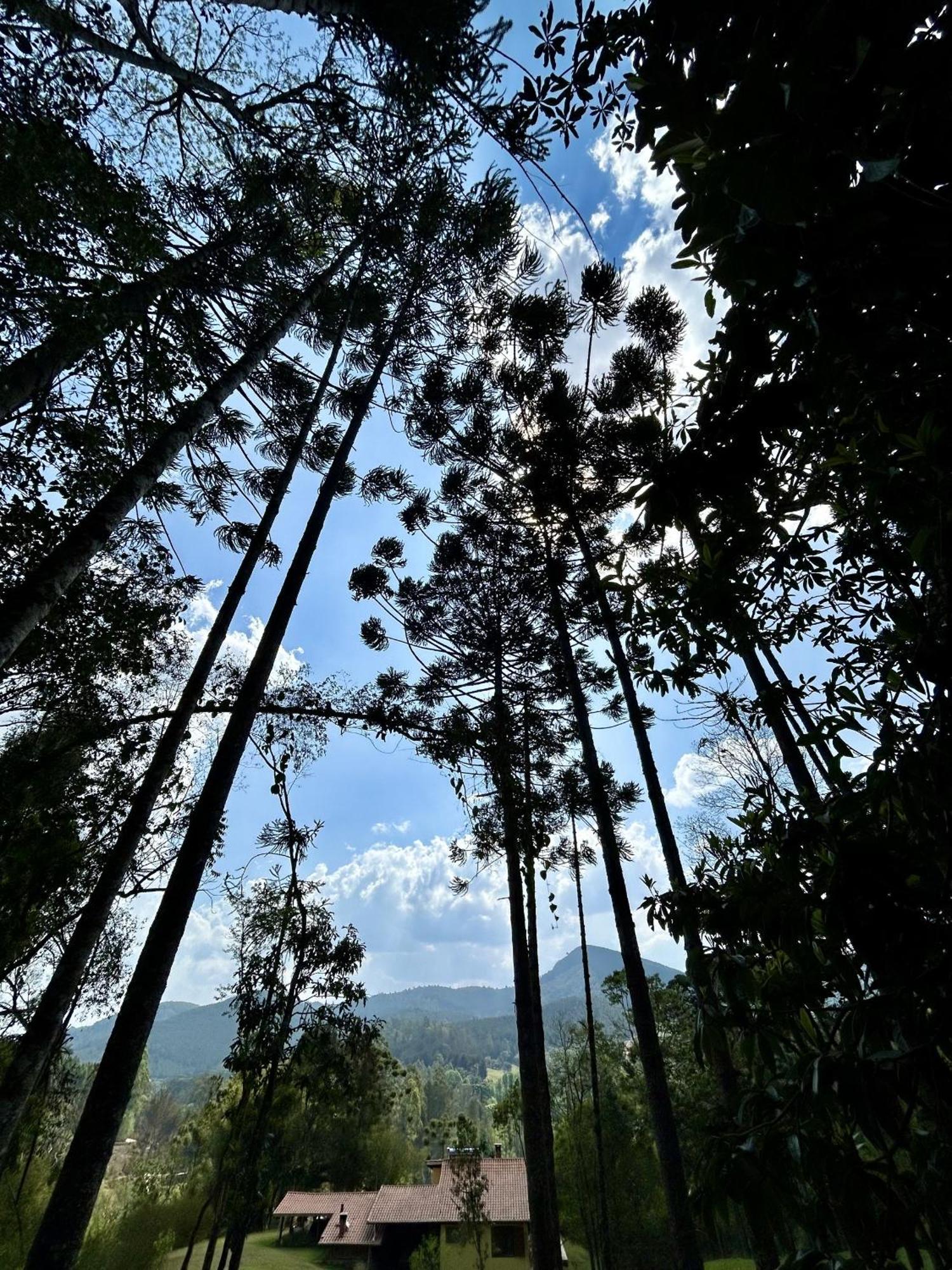 Casa De Campo Vizinha Da Lua مونتي فيردي المظهر الخارجي الصورة